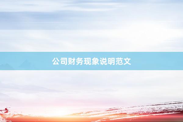 公司财务现象说明范文